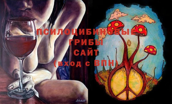 гидра Баксан