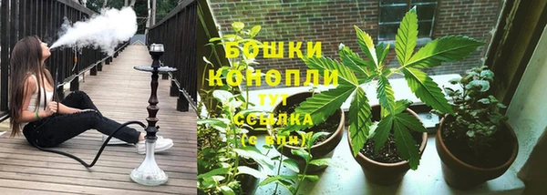 гидра Баксан