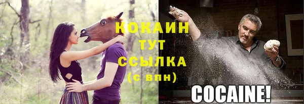 прущие крисы Балахна